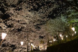 A4 DSC_0605